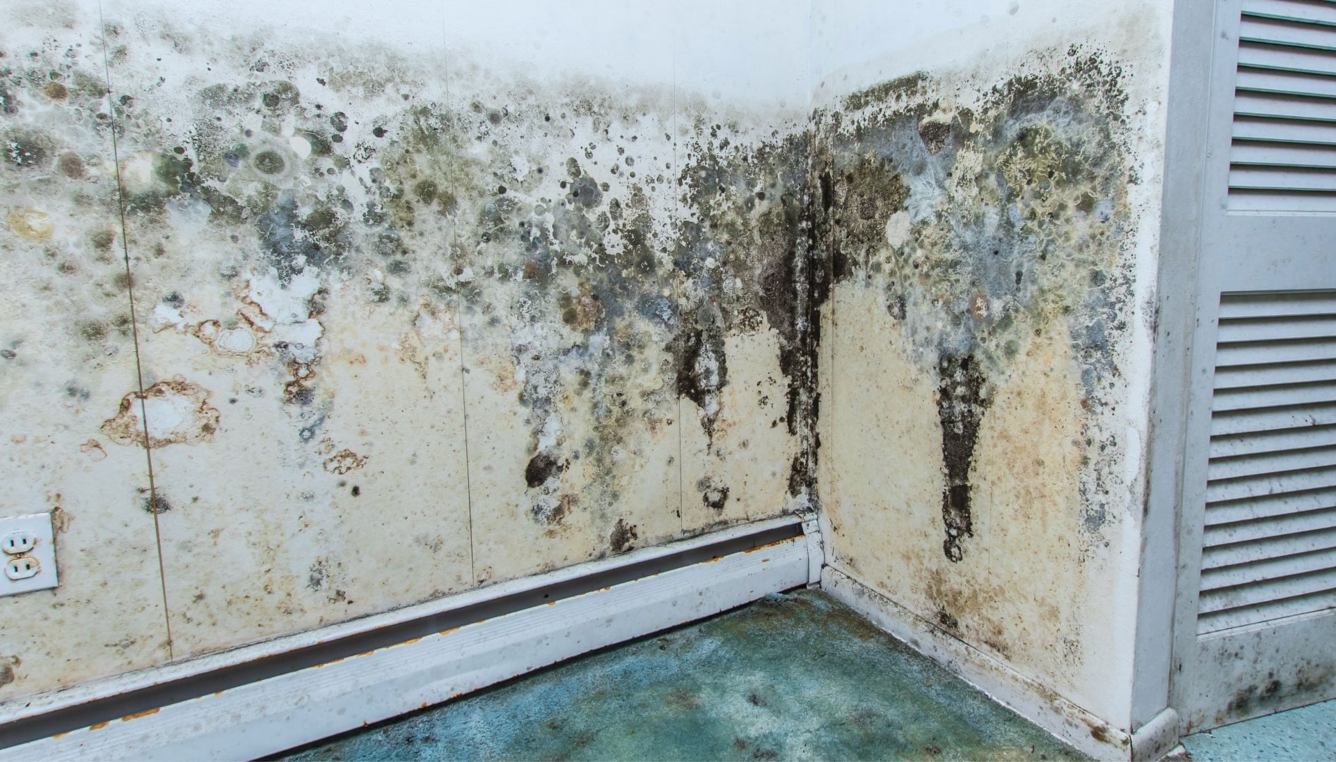 Mold Damage Odor Control Services in Coral Springs
