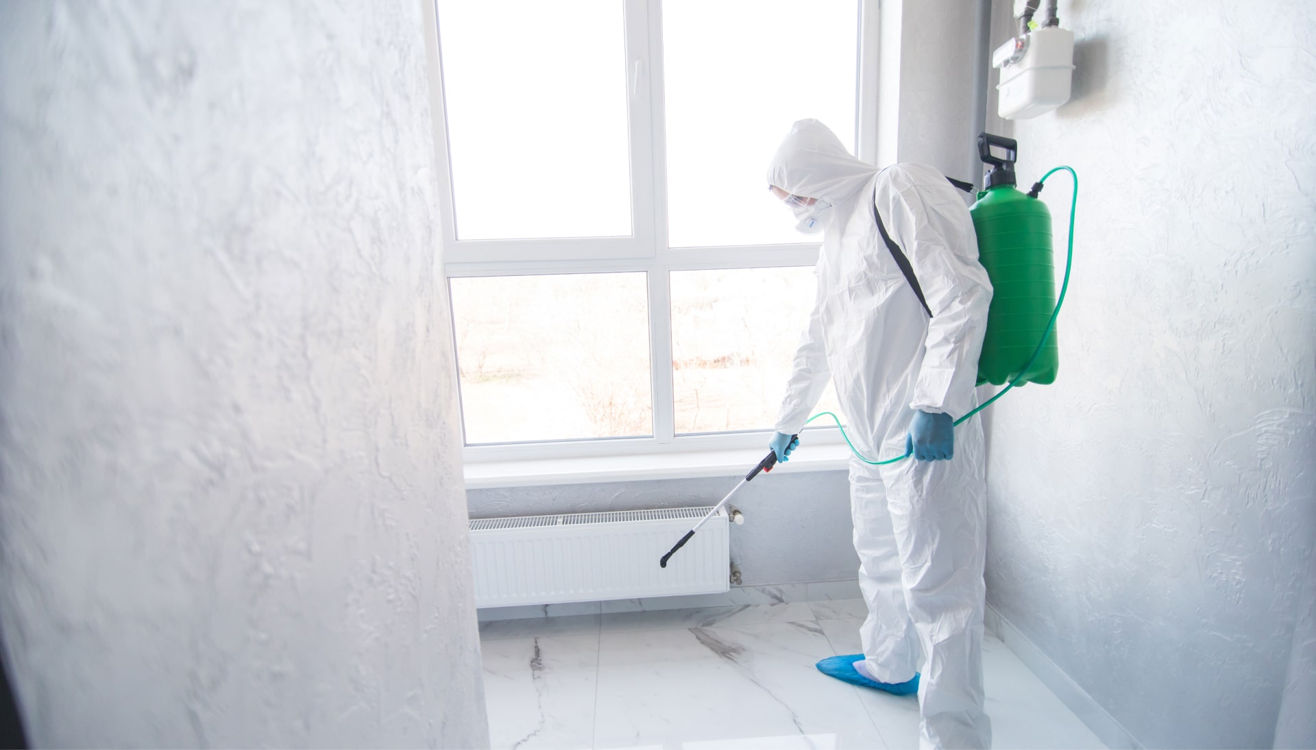 Mold Inspection Services in Coral Springs